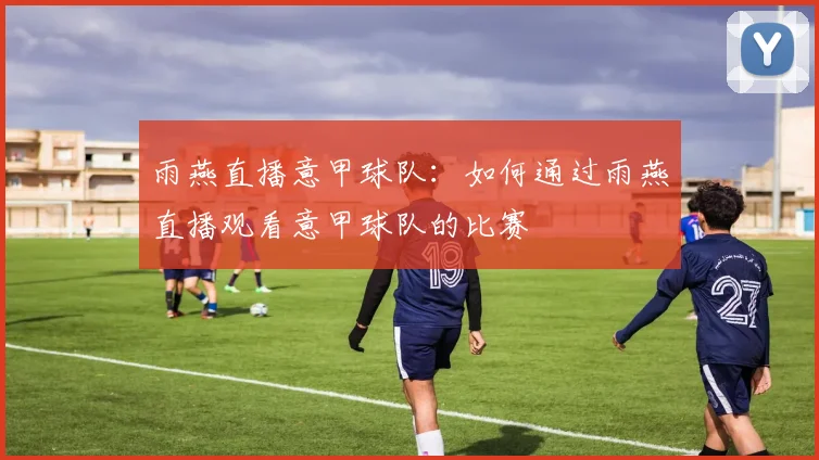 雨燕直播意甲球队：如何通过雨燕直播观看意甲球队的比赛