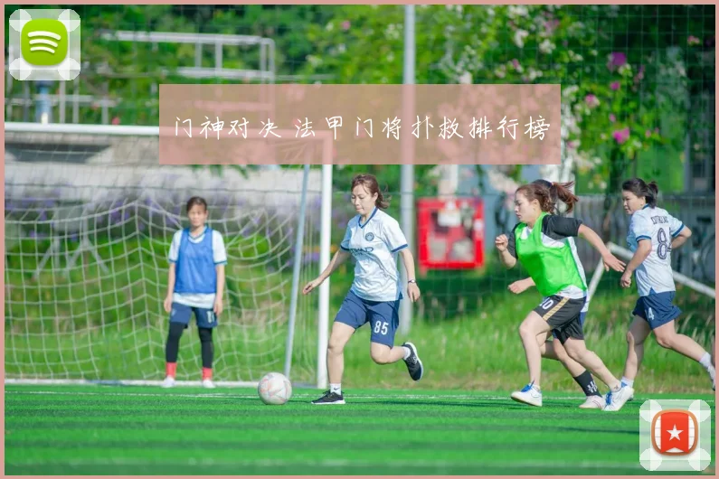 门神对决 法甲门将扑救排行榜