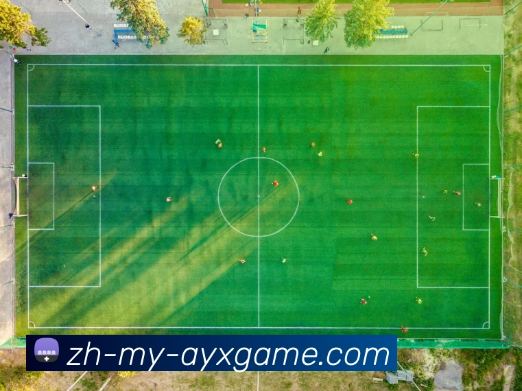 爱游戏服务体系